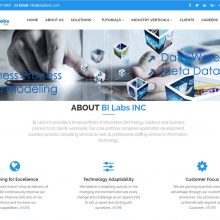 BI Labs INC